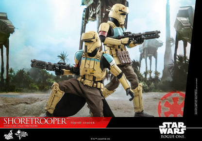 Hot Toys Star Wars Shoretrooper Squad Leader - Rogue One MMS592 1/6