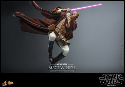 Hot Toys Star Wars Episode II Attack of the Clones Mace Windu MMS681 1/6 Action Figure