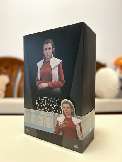 Hot Toys Star Wars The Empire Strikes Back Princess Leia Bespin Ver. MMS508 1/6