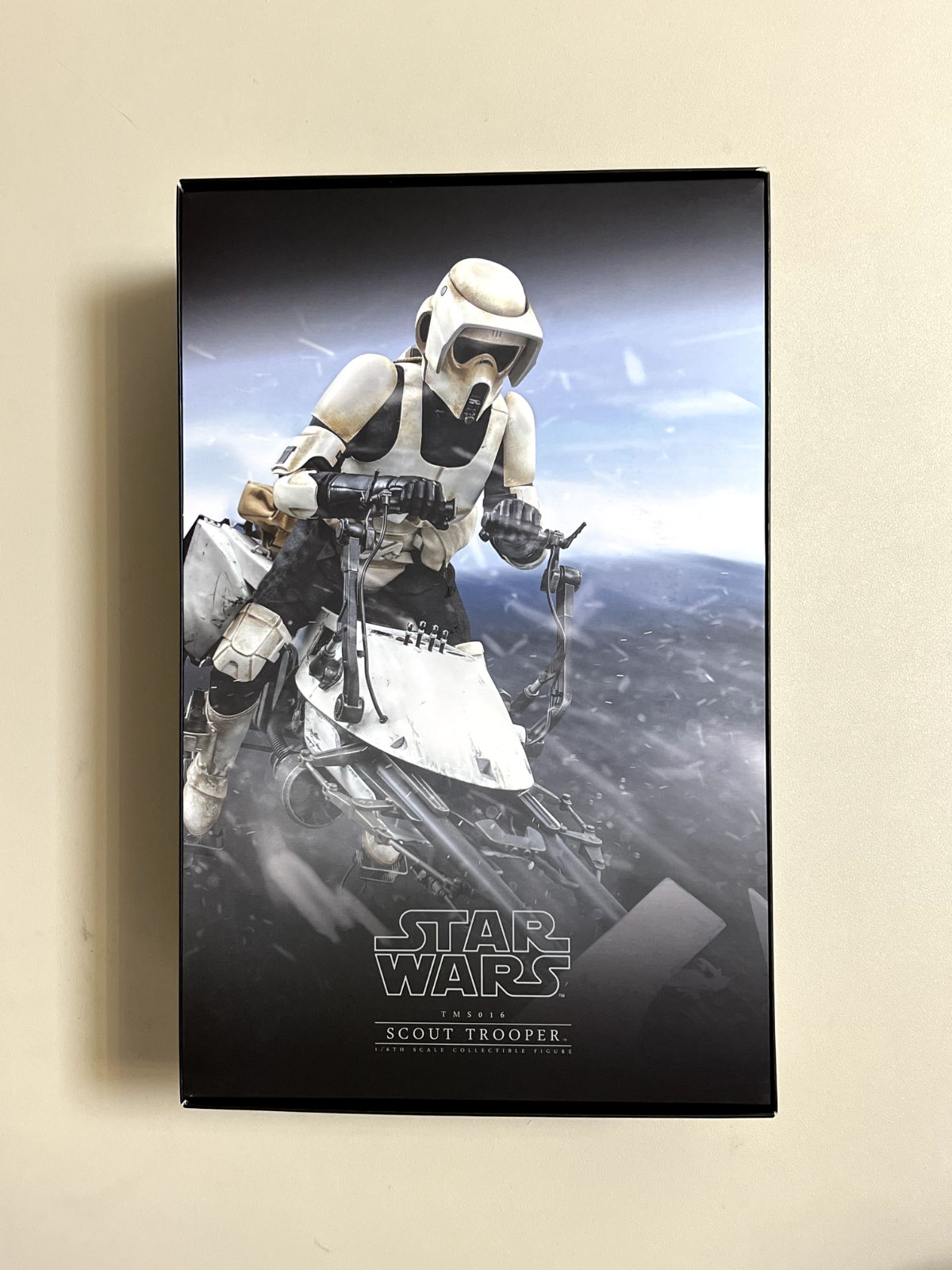 Hot Toys Star Wars The Mandalorian Scout Trooper 1/6 Action Figure TMS016